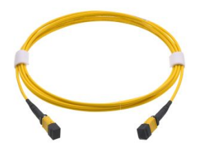 TRUNK MPO 12 OS2 29m