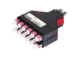 Netscale 48 MPO-LC 6 Ports OM4 S+ bk 