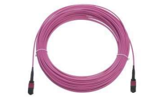 [R908295] TRUNK 12 MPO OM4 8m