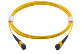 [R875802] TRUNK 12 MPO OS2 20m