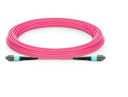 [R917381] MPO12 OM4 Type B 3m